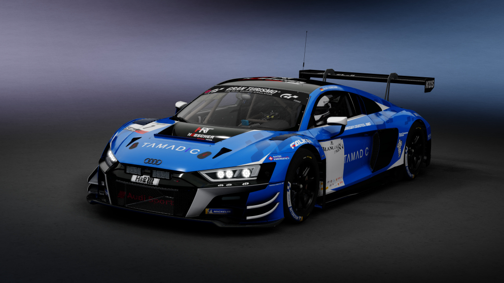 GT3 Audi R8 LMS Evo 2019, skin CEL_01_SwissSteakRacingTeampoweredbyHRT