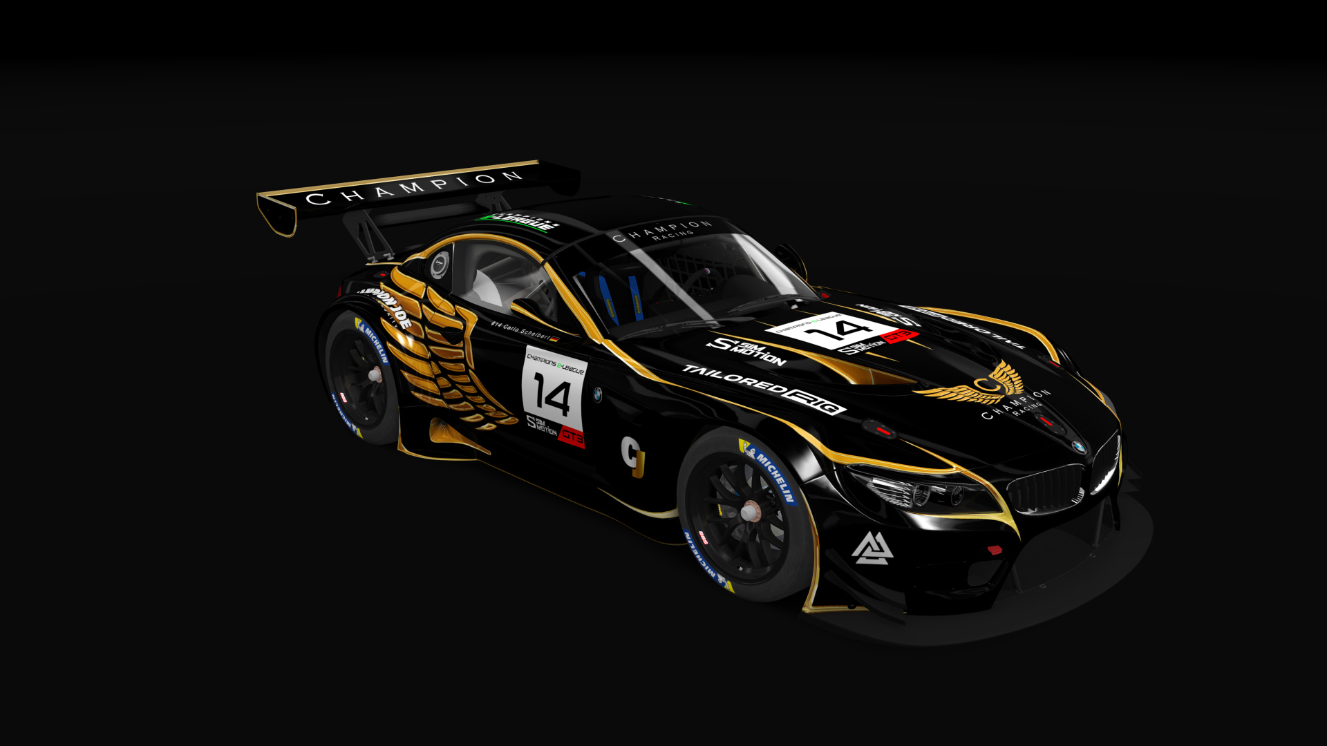 BMW Z4 GT3 CF Preview Image