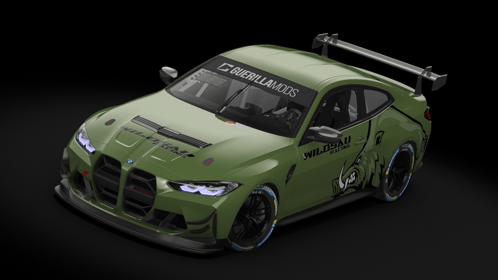 BMW M4 GT4 G82, skin 9_Wildsau_Racing