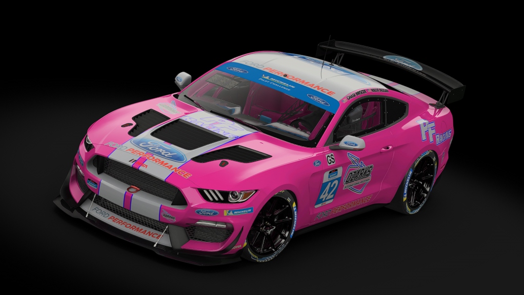 Ford Mustang GT4, skin 2022_PF_Racing_42