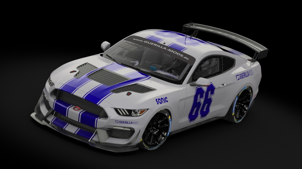 Ford Mustang GT4, skin 66_guerilla_racing