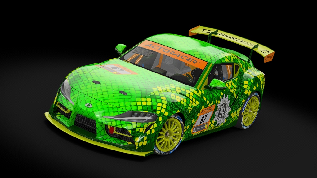 Car Skin