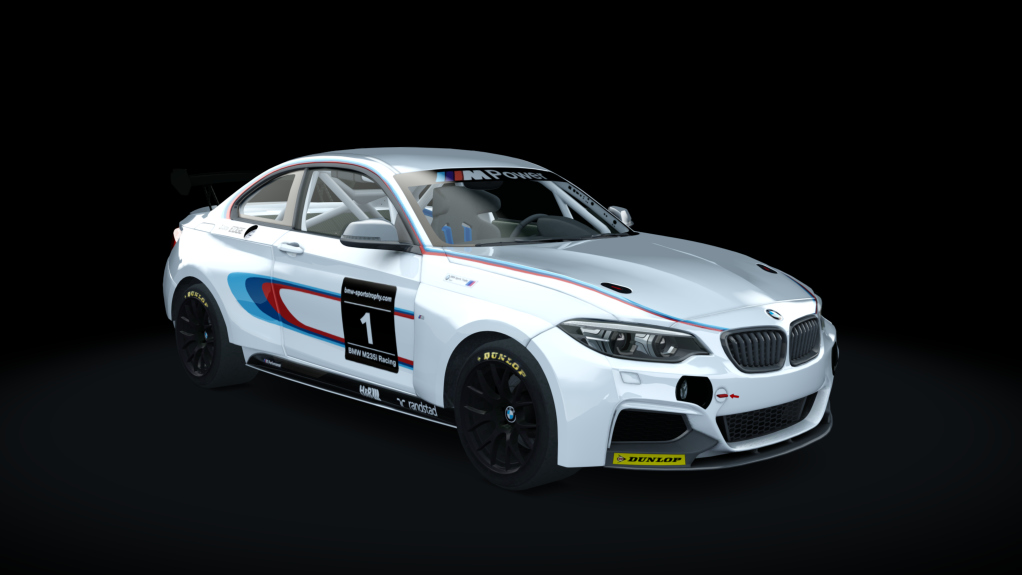 BMW M240i Cup, skin racing_1