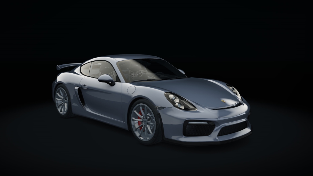 Porsche Cayman GT4, skin 05_gt_silver_metallic