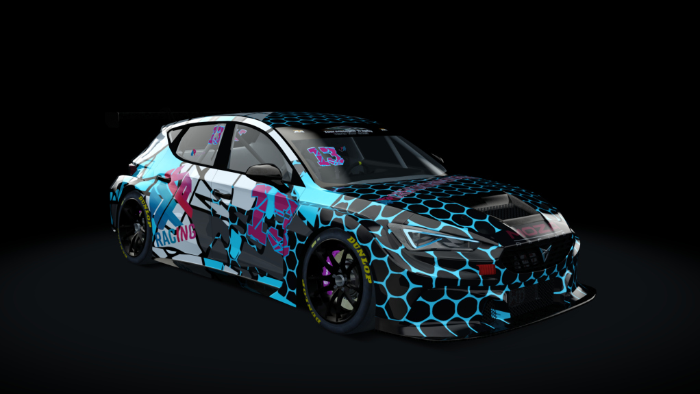 Car Skin